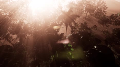 Sunlight-shining-in-tropical-jungle